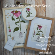 Embroidery file Botanical drawing Echinacea 13 x 18 cm
