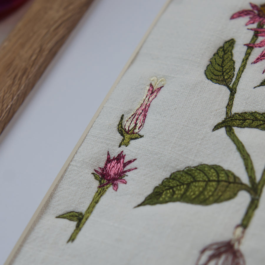 Embroidery file Botanical drawing Echinacea 13 x 18 cm