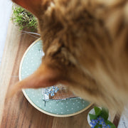 Embroidery file rabbit from the series "Spring in the Countryside"