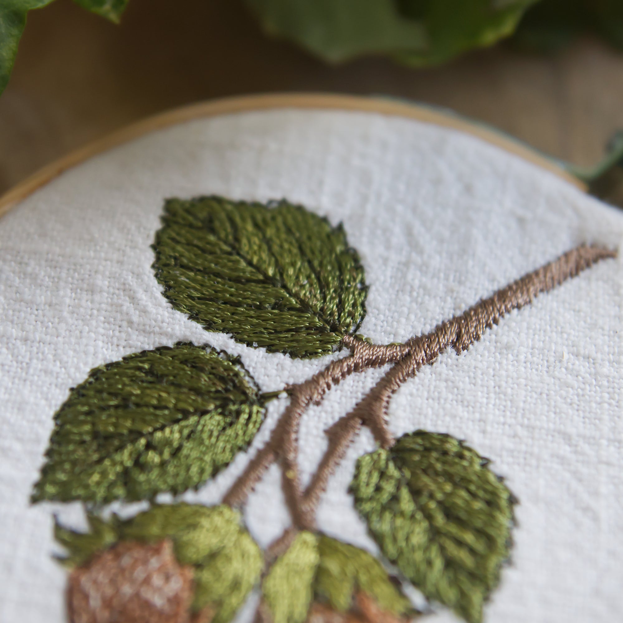 Stickdatei 3 Haselnüsse – Herbstliches Stickmuster mit Zweig und Nüssen • Naturmotiv für Landhausstil & Geschenkideen