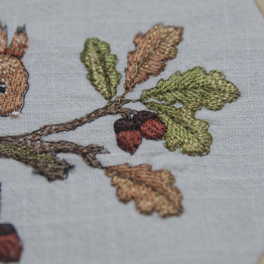 Stickdatei Eichhörnchen mit Haselnuss