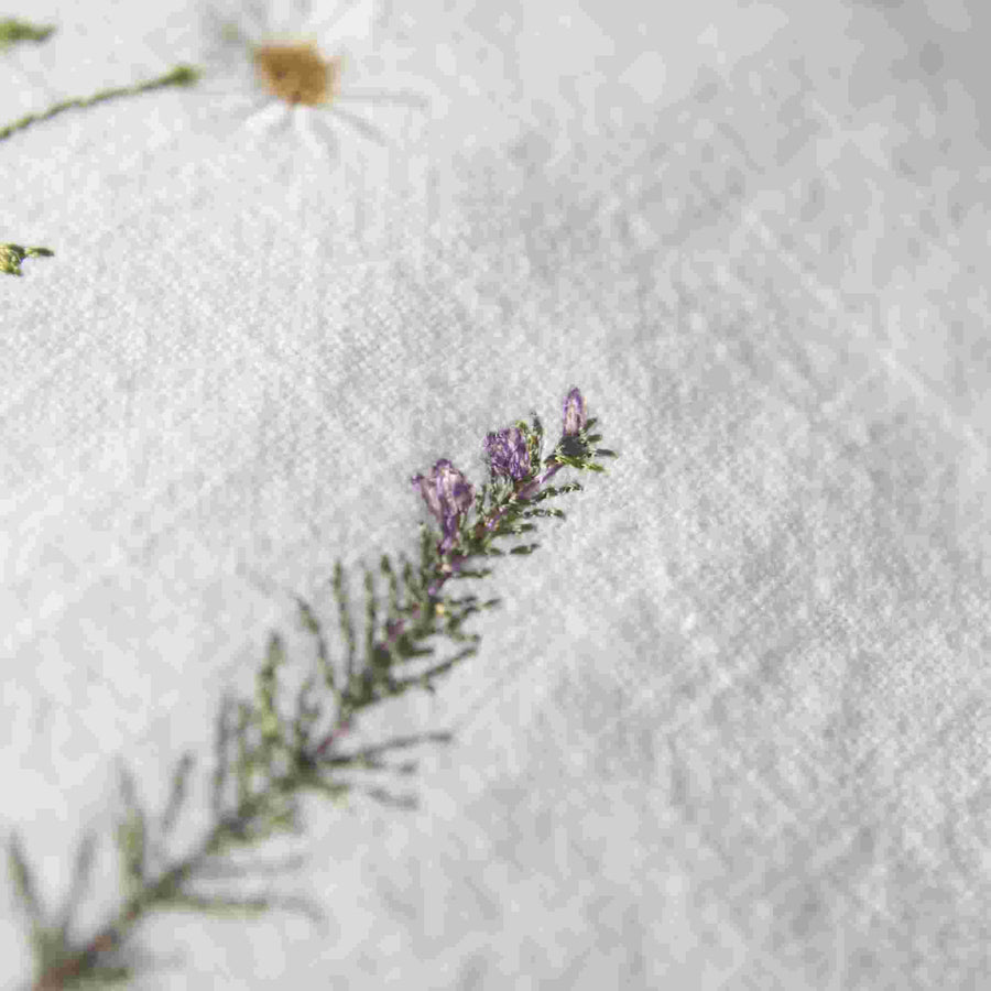 Stickdatei Kräuterwiese