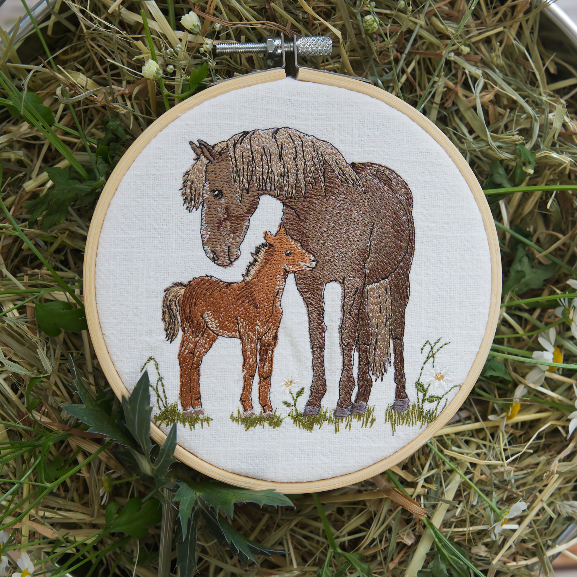 Stickdatei Maschinensticken Pferd Fohlen Frühling Sommer Herbst Weide Cora Design