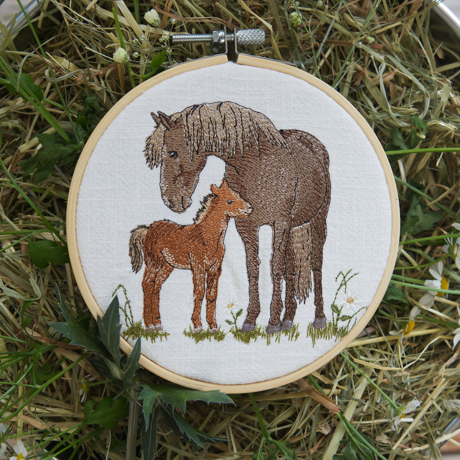 Stickdatei Maschinensticken Pferd Fohlen Frühling Sommer Herbst Weide Cora Design
