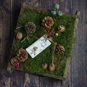 Bundle ITH Gift Sets Redthroat, Juniper, Forget-Me-Not - save over 20%