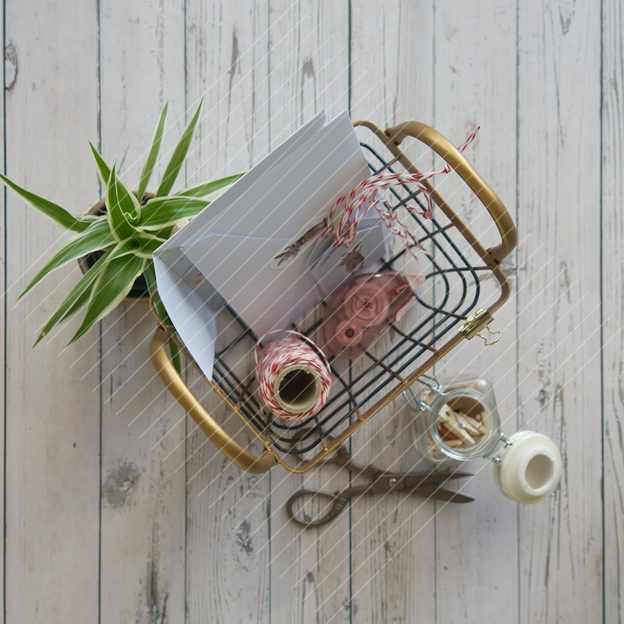 Digistamp Schüchterner Hase Bundle seamless Paper Digistamp