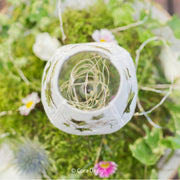 Stickdatei Set ITH Glashusse Efeu