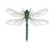 ITH dragonfly embroidery design